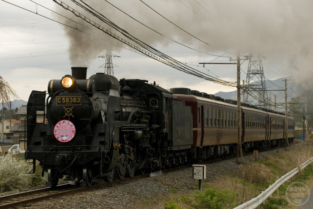 5001列車「SLパレオエクスプレス」C58-363＋12系客車4両（撮影地：浦山口～武州中川）
